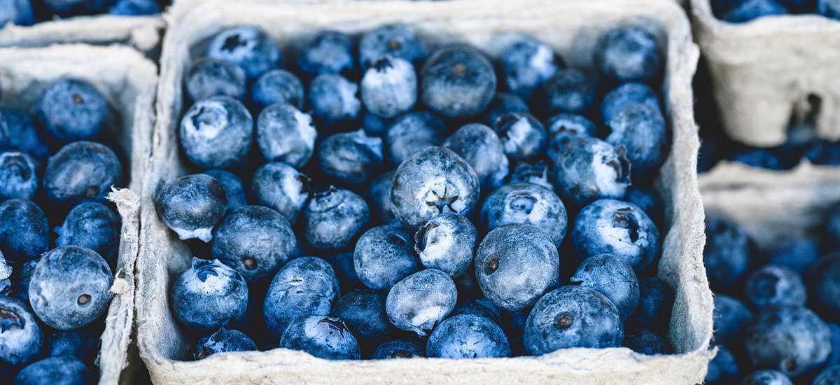 IDair Studie